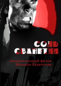Соль Сванетии